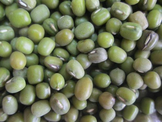 Green mung beans, ndengu, cleaned and sorted