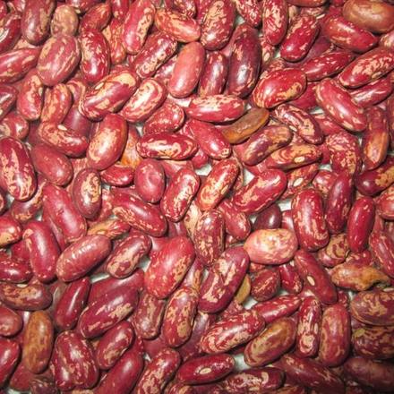 Red speckled rosecoco beans, cleaned and sorted