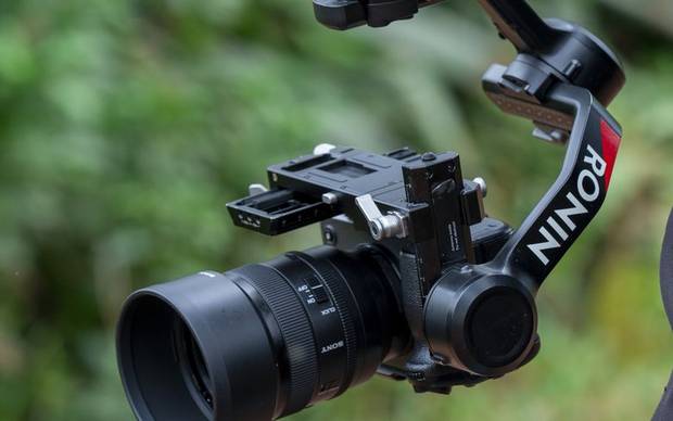 A Sony camera and Ronin gimbal rigged for filming against dense foliage