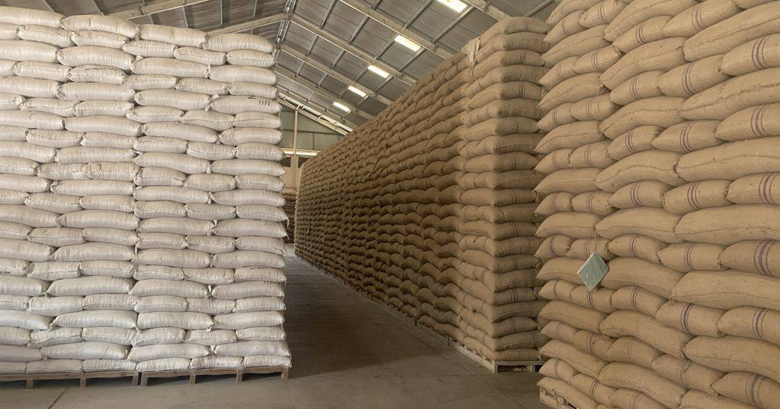 Rows of jute and polypropylene bags stacked on pallets in a HAGRO partner warehouse, 2021